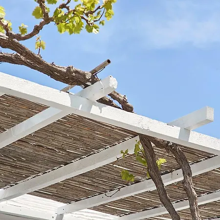 Agnanti Andros Agia Eleousa