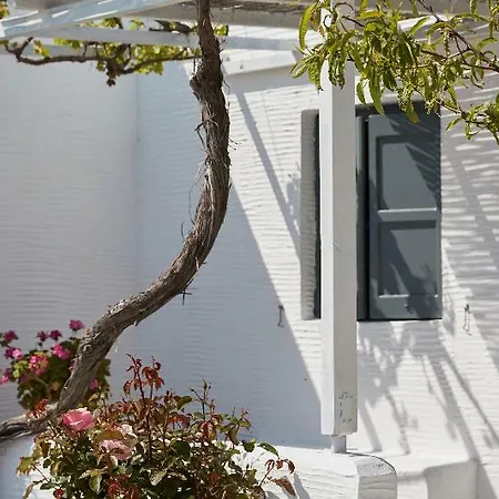 Hotel Agnanti Andros 2*