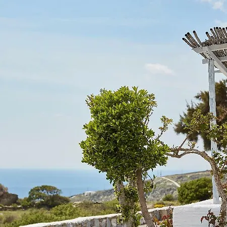 Agnanti Andros Hotel